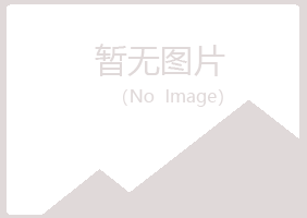 山东字迹咨询有限公司